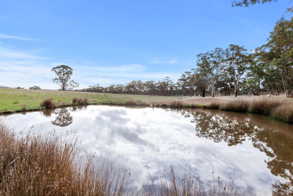 2505 Seymour-Tooborac Road, Tooborac, Vic 3522, thumbnail 3 of 4