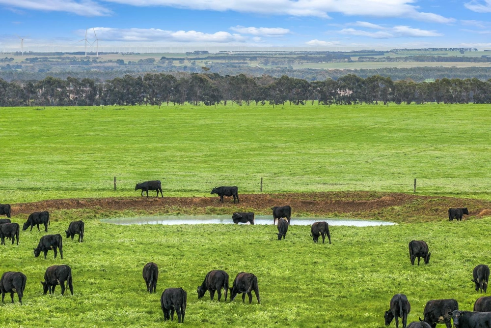 470 Rifle Butts Road, Birregurra, Vic 3242, main thumbnail