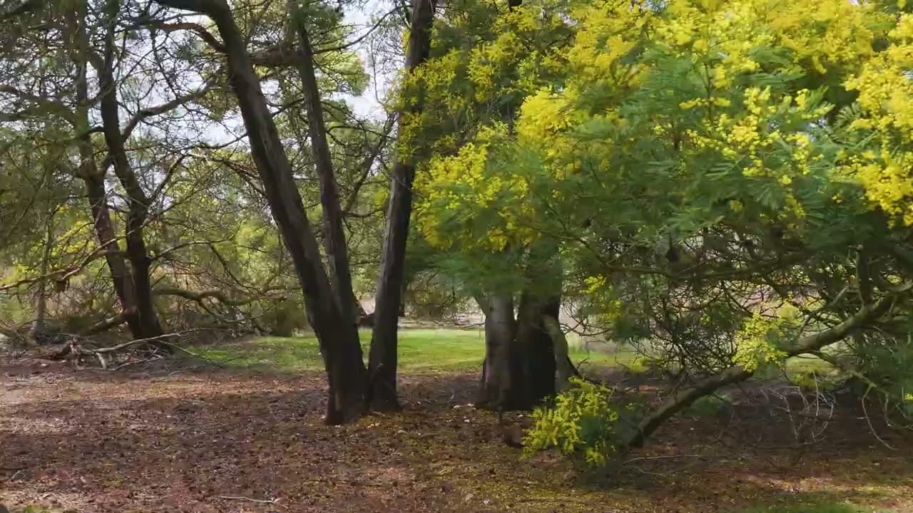Creswick, Vic 3363, thumbnail 2 of 4