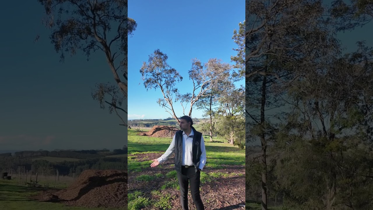 1B Patrick Street, Korumburra, Vic 3950, thumbnail 3 of 4