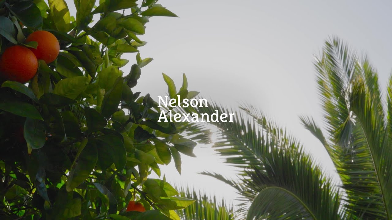 7 Eastwood Avenue, Preston, Vic 3072, thumbnail 3 of 4