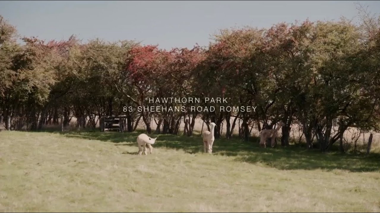 'Hawthorn Park' 83 Sheehans Road, Romsey, Vic 3434, thumbnail 3 of 4