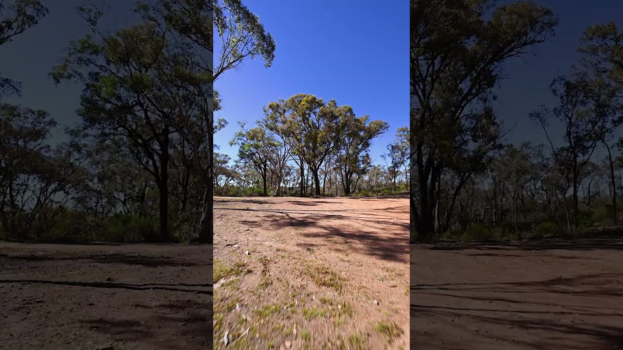 309 Edwards Road, Strathfieldsaye, Vic 3551, thumbnail 2 of 4